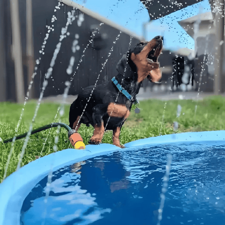 Lisslune | Dogs Water Jet Swimming Pool