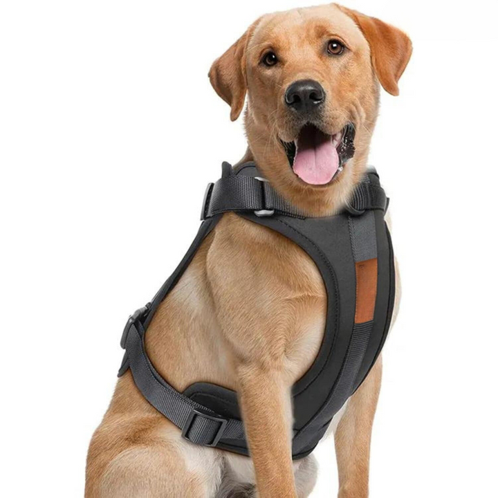 Lisslune | ComfyPaws Dog Harness Walking Set with Leash and Poop Bag Holder