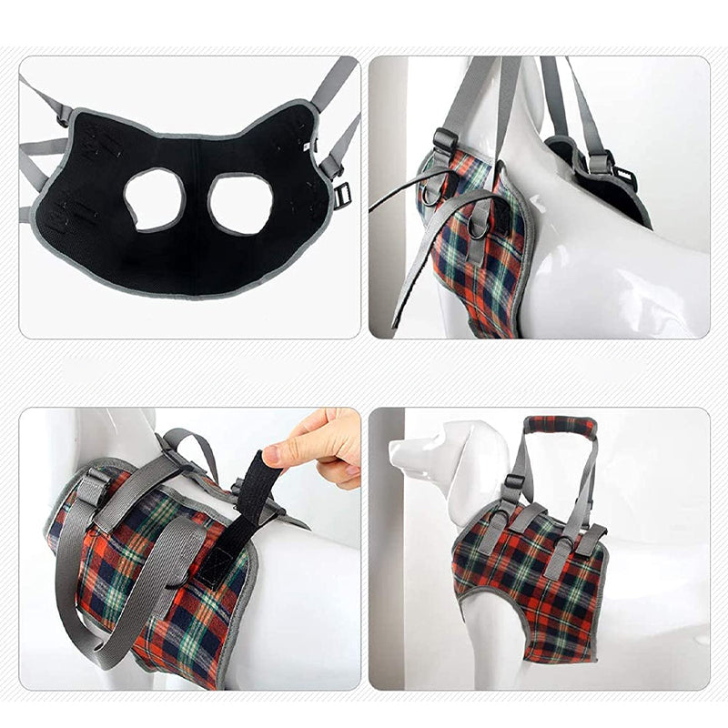 Lisslune | Orthopedic Strap for Hind Legs