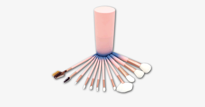 Lisslune | 12-piece Pink Ombre Brush Set – Apply makeup like a pro!