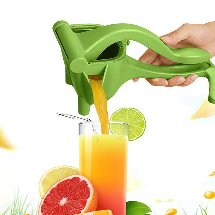 Lisslune | Stainless Steel Fruit Juice Press