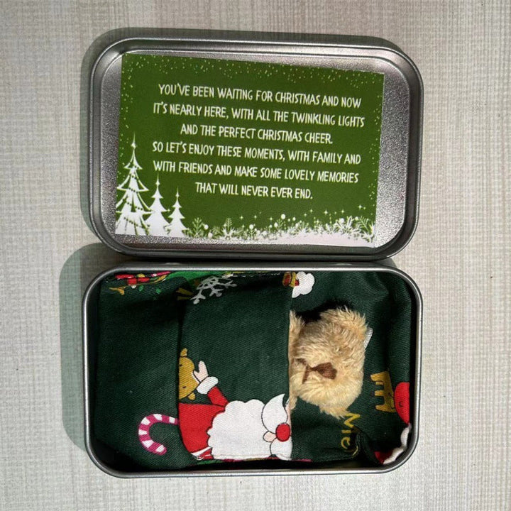 Lisslune | Teddy Bear Christmas Gift