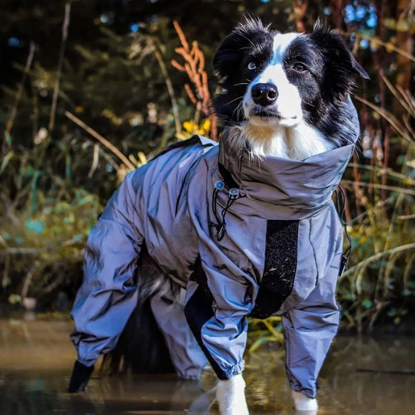Lisslune | Waterproof Dog Coat with Legs – Reflective Dog Rain Jacket for Small & Large Breeds | Best Rain Coat for Dogs UK