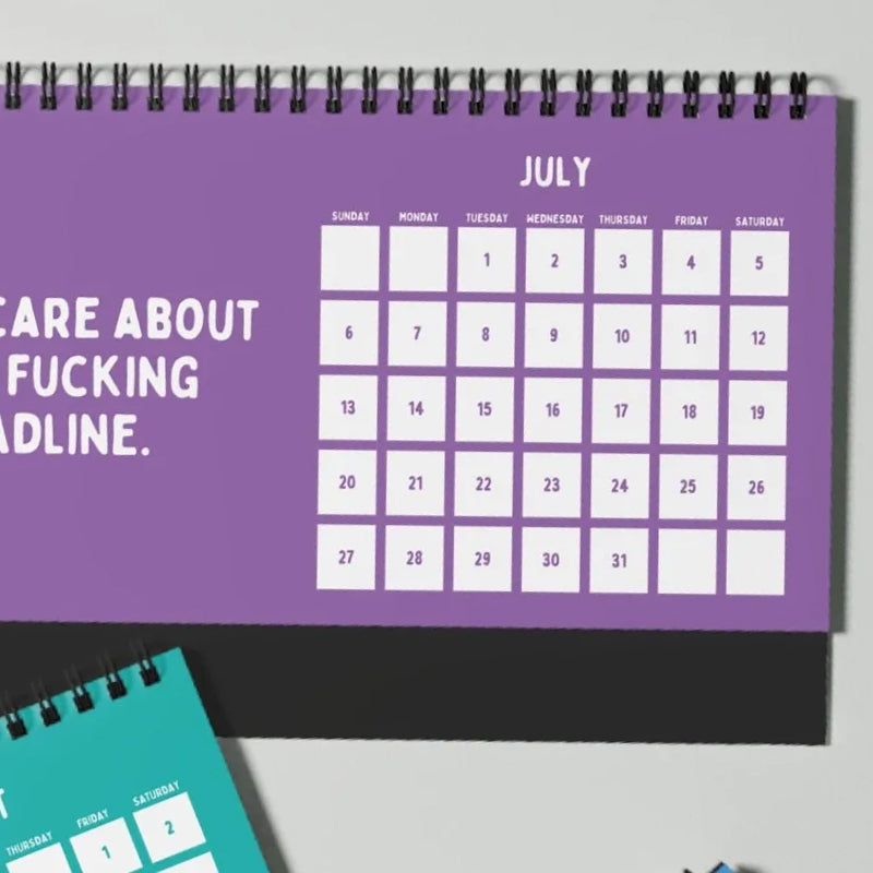 Lisslune | Funny 2025 sarcastic calendar