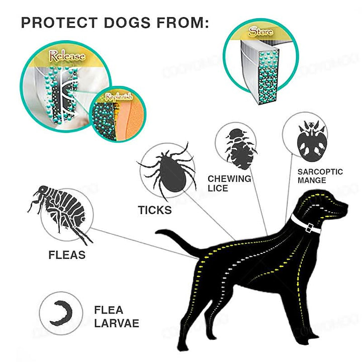 Lisslune | PAWTECT - Anti-tick and flea collar