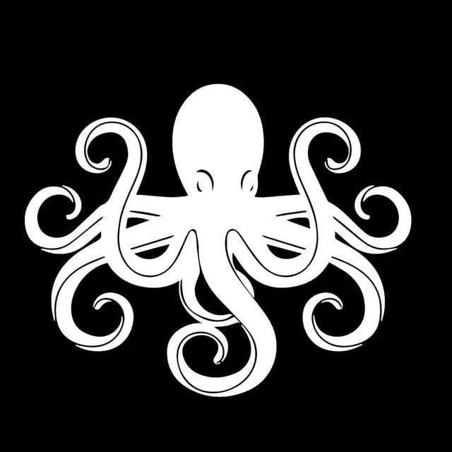 Lisslune | Sleek Octane Octopus Vinyl Car Decals - Black/Silver - 12M x 14.8CM