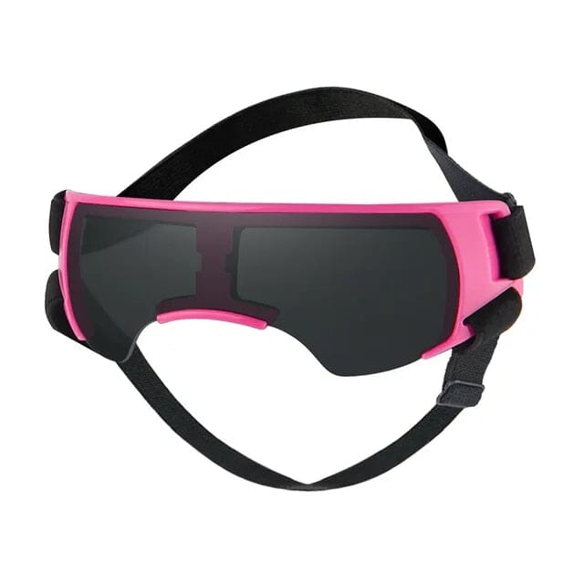 Lisslune | Pet Sunglasses