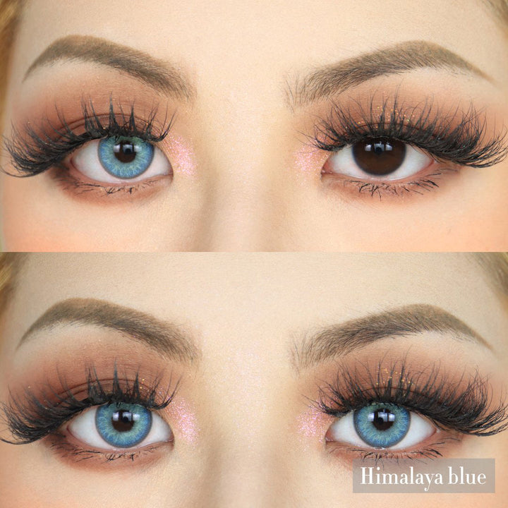 Rynx Himalaya Blue 14.0mm 1 Pair | 1 Year