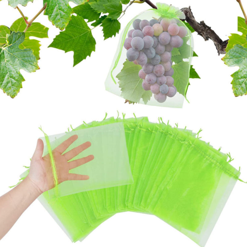 Lisslune | Fruit Protection Bag (100 PCS)