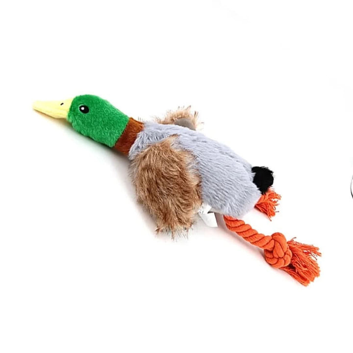 Lisslune | CHEWDLE - Plush chew toy