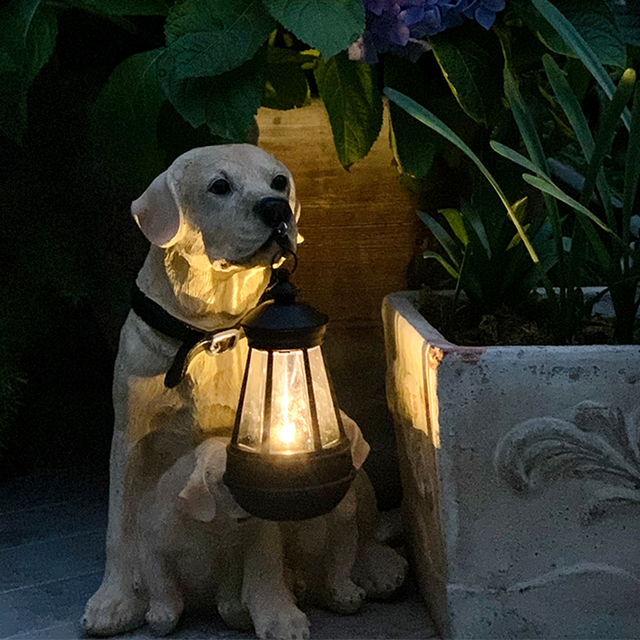 Lisslune | Playful Paws Solar Light