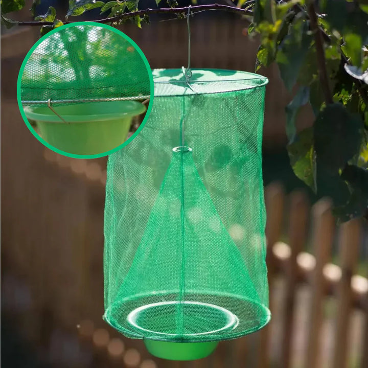 Lisslune | Reusable Fly Trap - Pack of 4