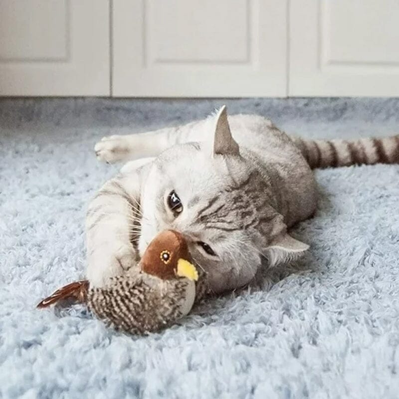 Lisslune | Cat toy - Simulated chirping bird