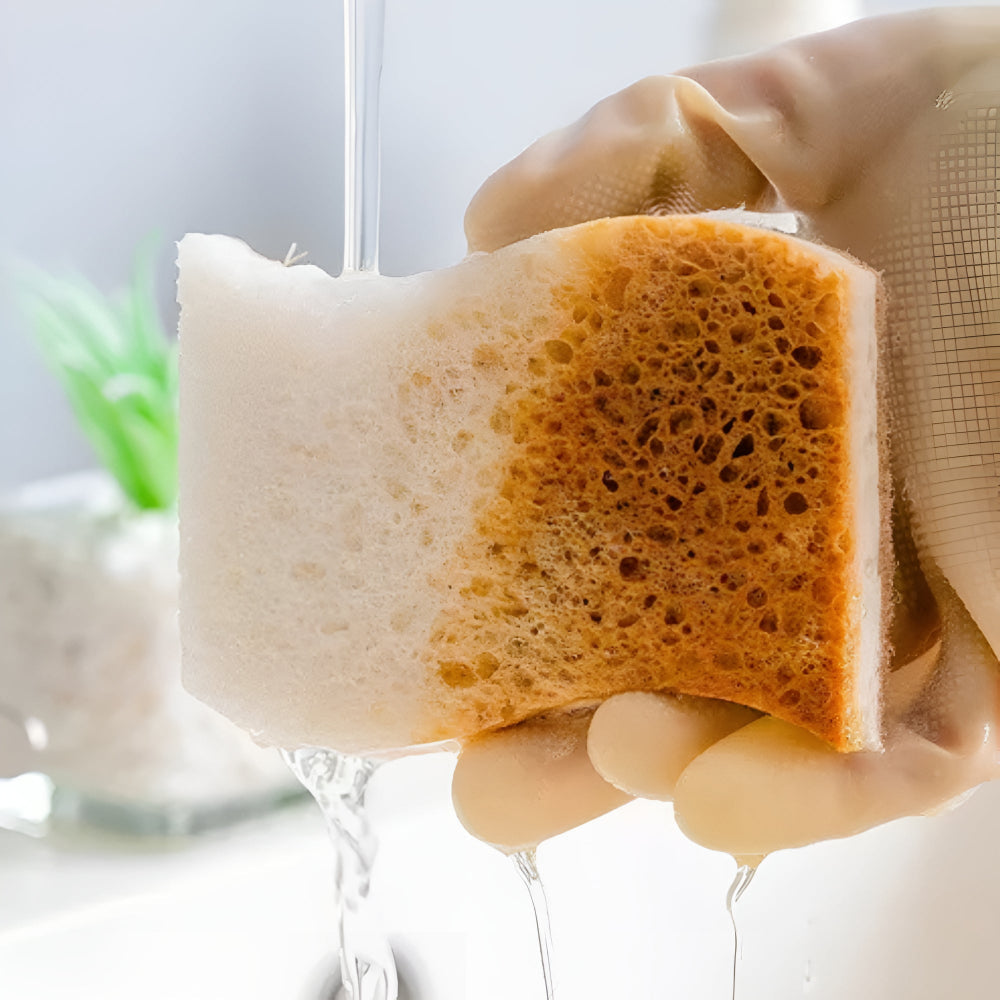 Lisslune | Coconut Fiber Natural Dish Sponge