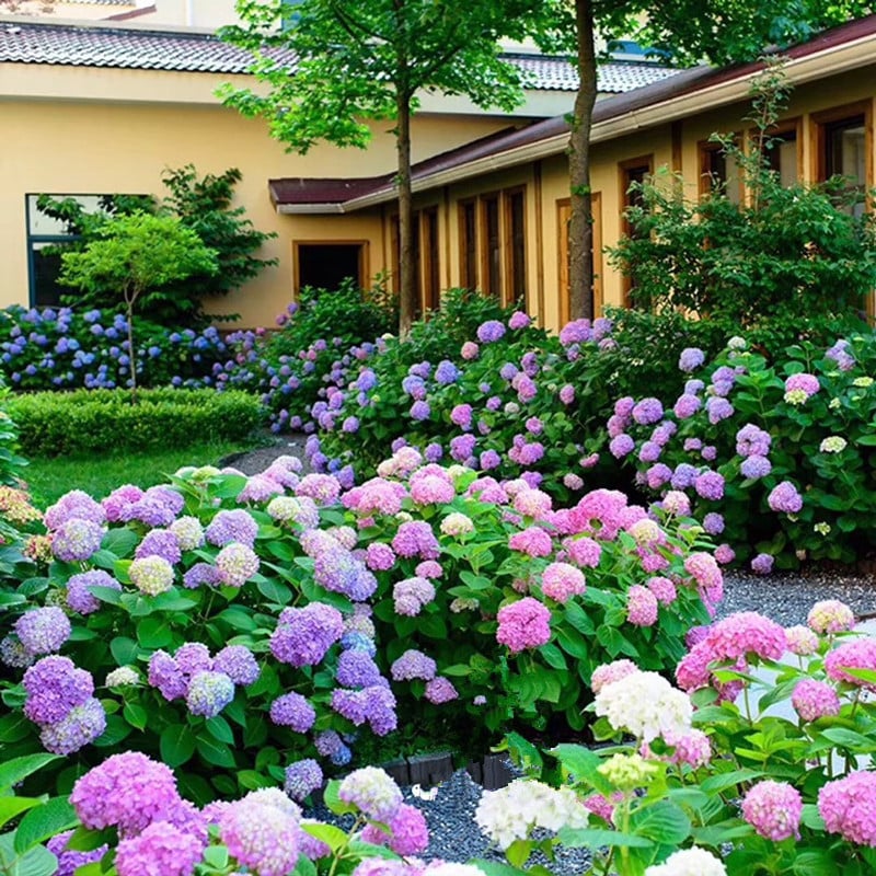 Lisslune | Outdoor Artificial Hydrangea Flowers