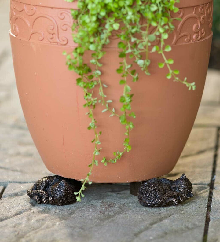 Lisslune | Potty Feet Plant Pot Feet