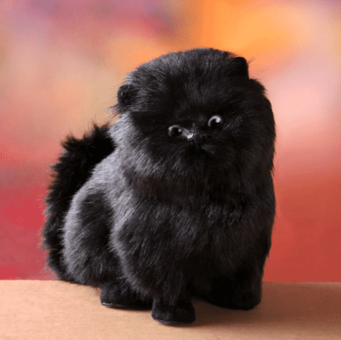 Lisslune | Enchanting, electric, interactive plush kitten
