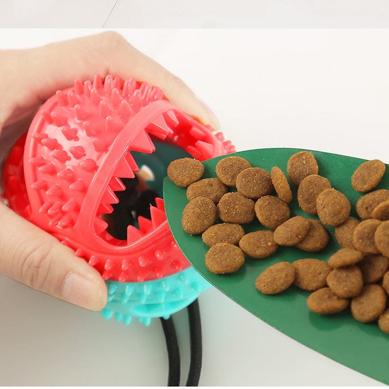 Lisslune | Silicone Suction Cup Dog Toy Dress