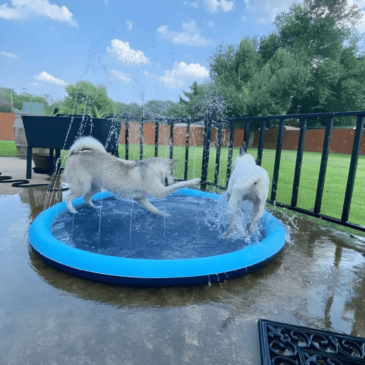 Lisslune | Dogs Water Jet Swimming Pool