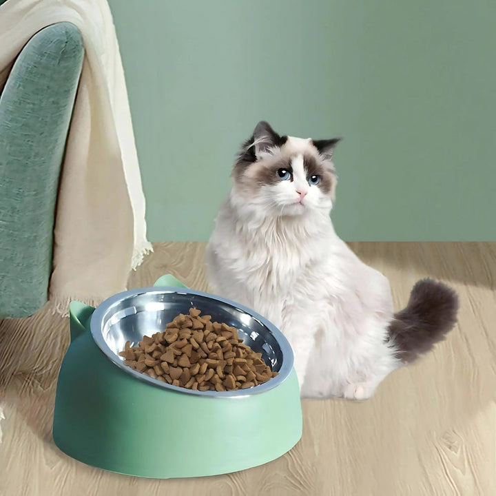 Lisslune | PurrfectAngle Pet Feeding Bowl