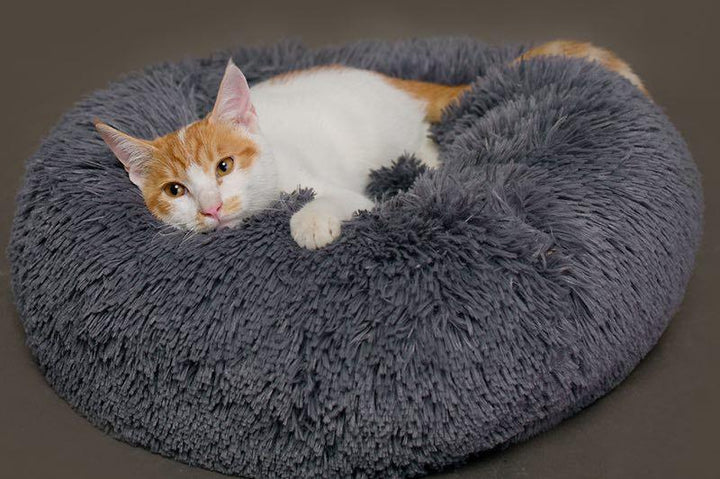 Lisslune | Soft Pet Bed FluffyLoop