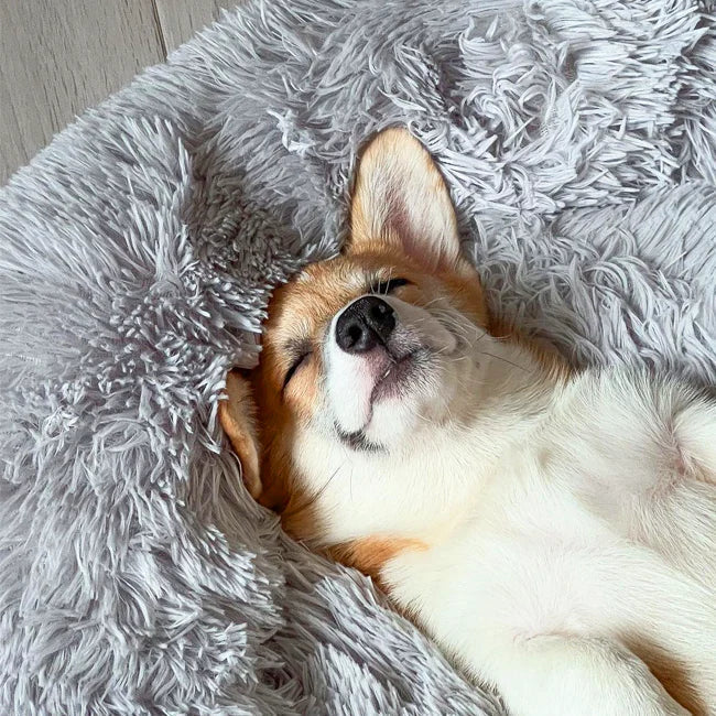 Lisslune | Calming Dog Bed
