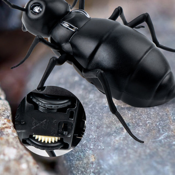 Lisslune | Remote Control Electric Animal Toy