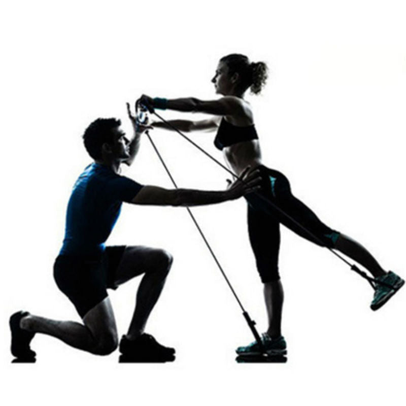 Lisslune | 8-in-1 Portable Pilates Bar Kit with Resistance Band, Foot Loop, Ideal for Home Total Body Workout, Gym, Weightlifting