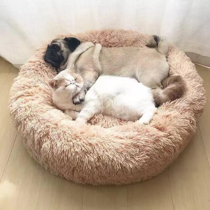 Lisslune | Milowa Soft Orthopedic Pet Bed for Cats and Dogs