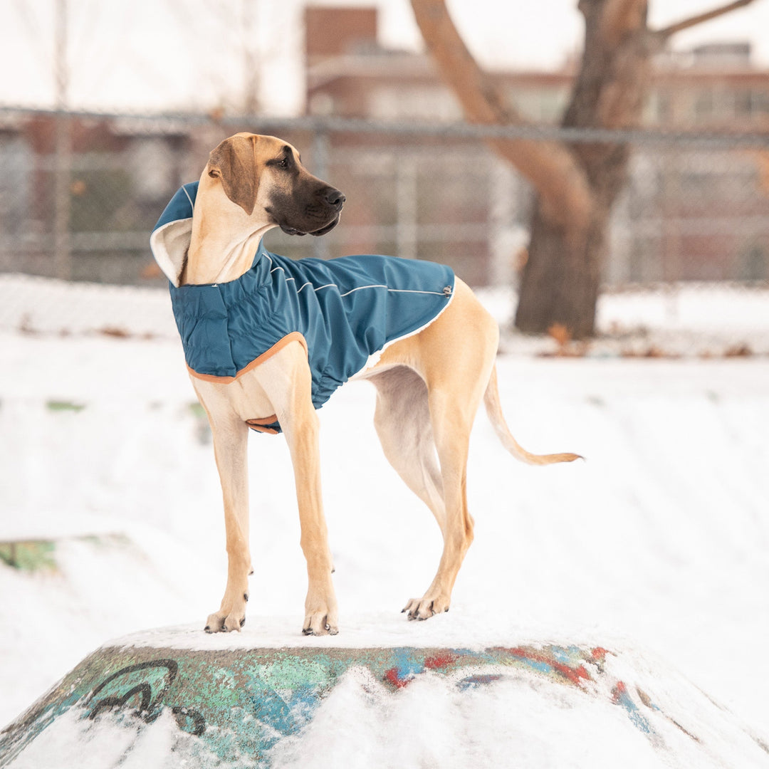 Lisslune | Insulated rain jacket - Dark blue