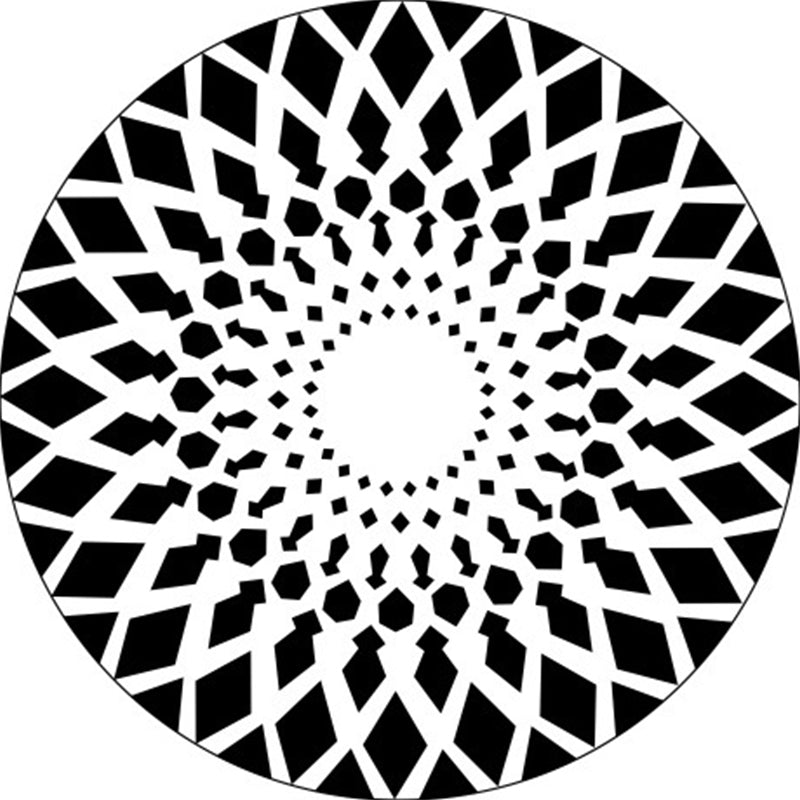 Lisslune | Black and White Moroccan Carpet Polyester Floral Carpet Non-Slip Back Carpet for Living Room