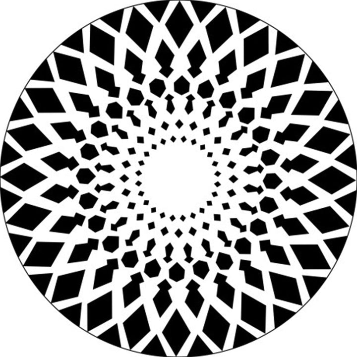 Lisslune | Black and White Moroccan Carpet Polyester Floral Carpet Non-Slip Back Carpet for Living Room