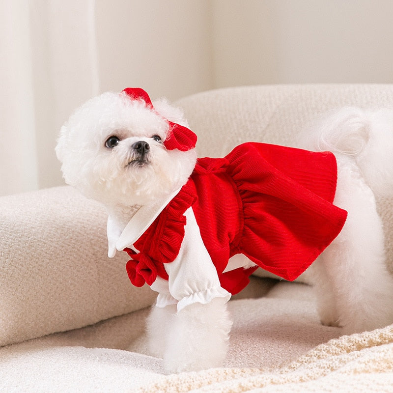 Lisslune | Puppy Bow Dress Set