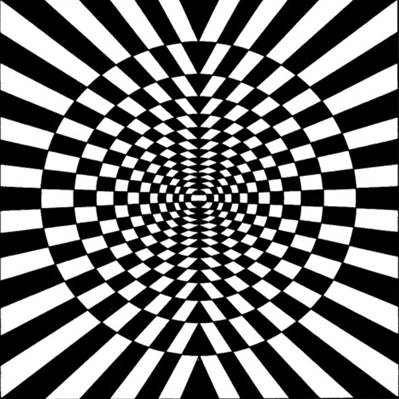 Lisslune | Novelty Living Room Rug in Black and White 3D Circle Stripe Pattern Rug Polyester Pet-Friendly Washable Rug