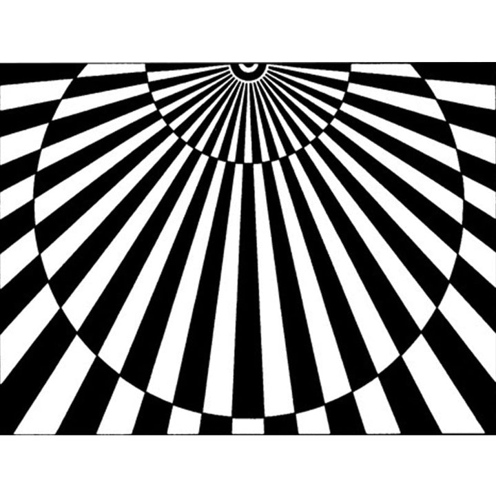 Lisslune | Novelty Living Room Rug in Black and White 3D Half Circle Stripe Print Rug Polyester Pet Friendly Washable Area Rug