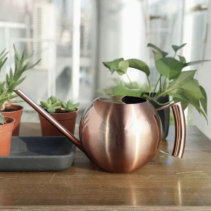Lisslune | AquaSleek - Precision watering can for delicate plants