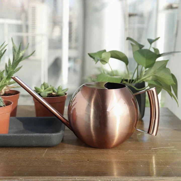 Lisslune | AquaSleek - Precision watering can for delicate plants