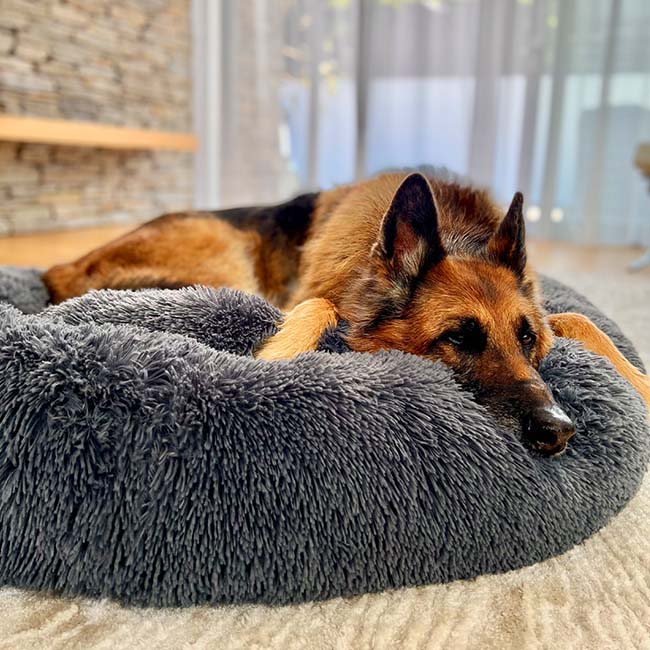 Lisslune | Calming Dog Bed