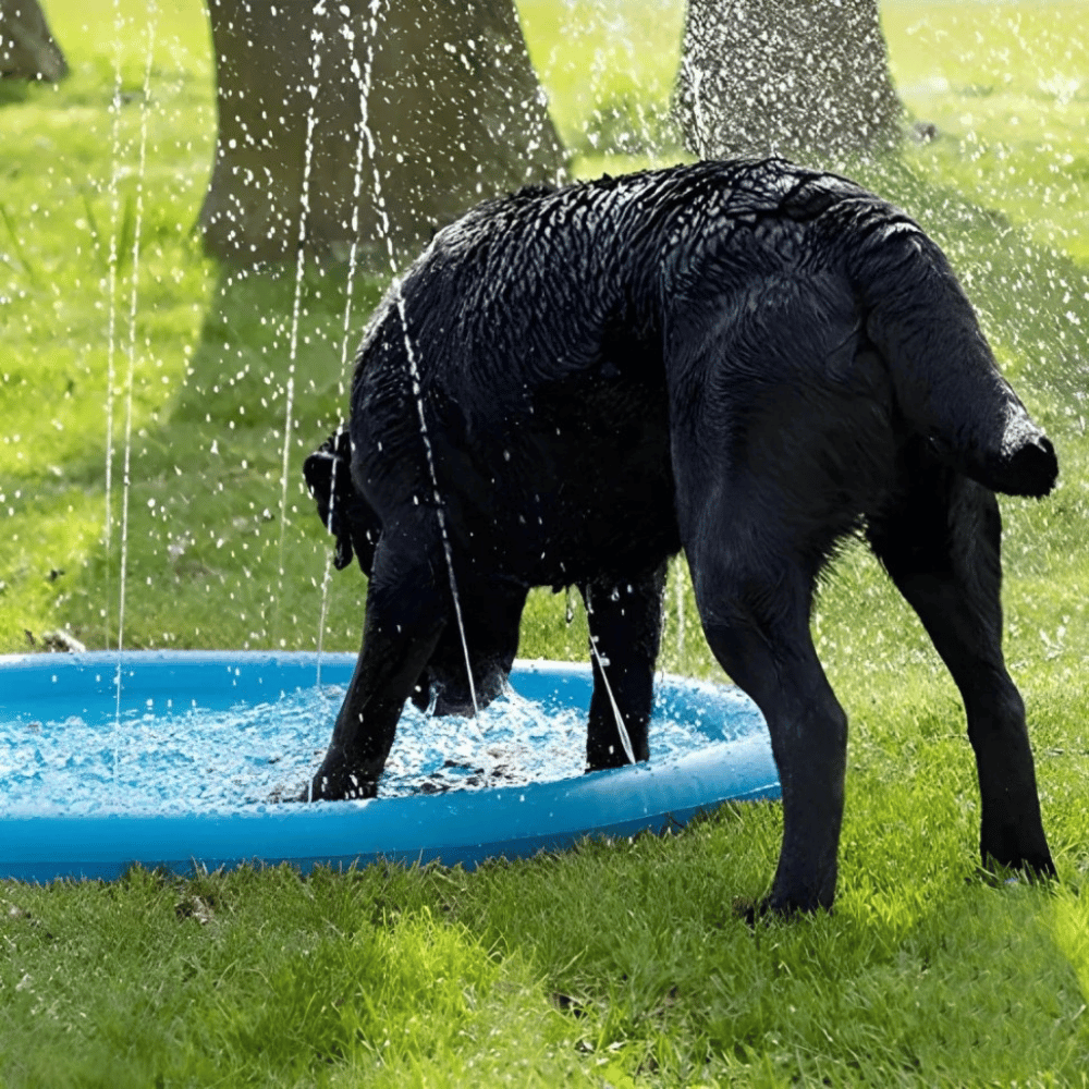 Lisslune | Dogs Water Jet Swimming Pool