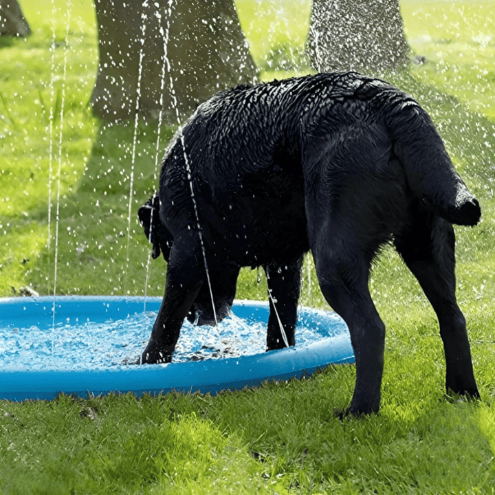 Lisslune | Dogs Water Jet Swimming Pool