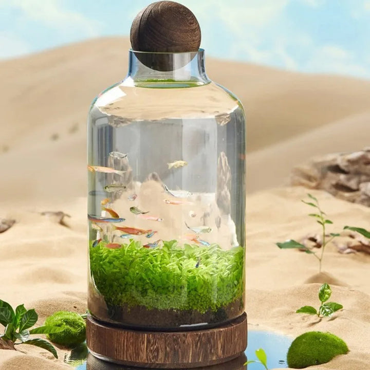 Lisslune | Micro Aquarium Compact Glass Ecological Fish Tank