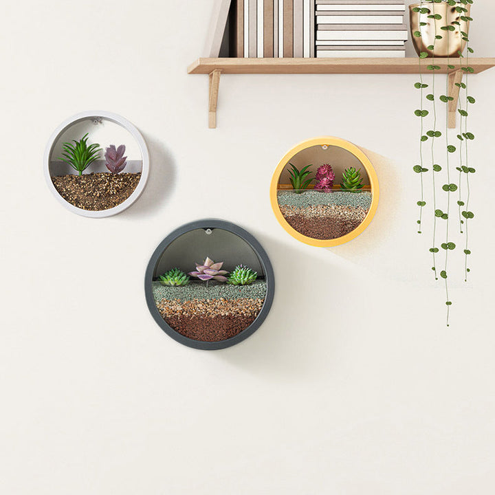 Rynx Sand Art Wall Planter Box
