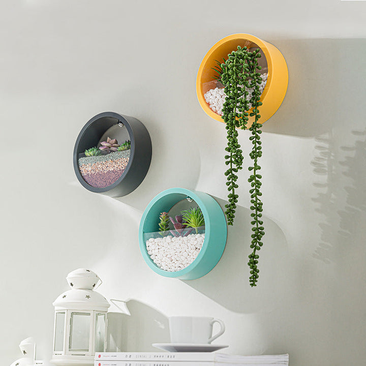 Rynx Sand Art Wall Planter Box
