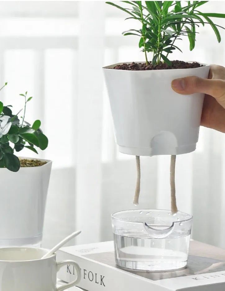 Lisslune | Plant pot with water reservoir – Self-watering flower pot for houseplants