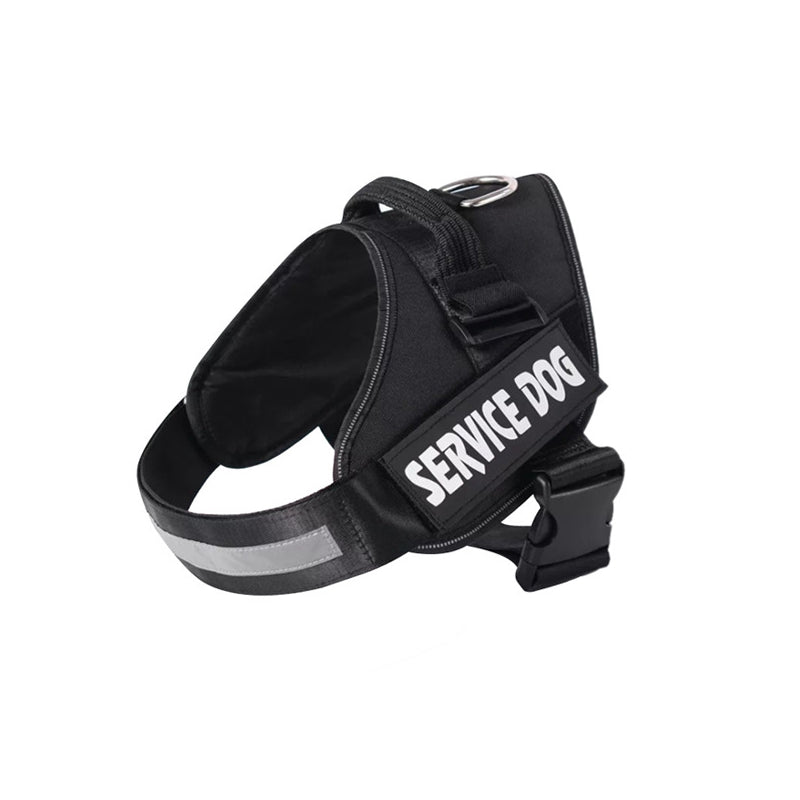 Lisslune | Personalized No Pull Dog Harness with Adjustable Fit