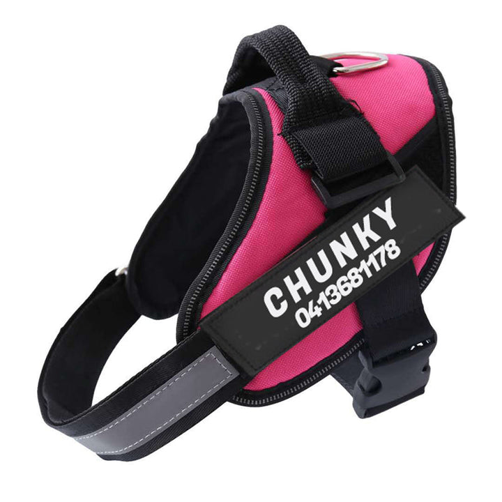 Lisslune | Personalized No Pull Dog Harness with Adjustable Fit