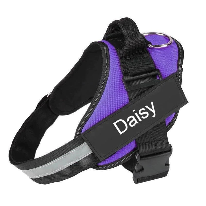 Lisslune | Personalized No Pull Dog Harness with Adjustable Fit