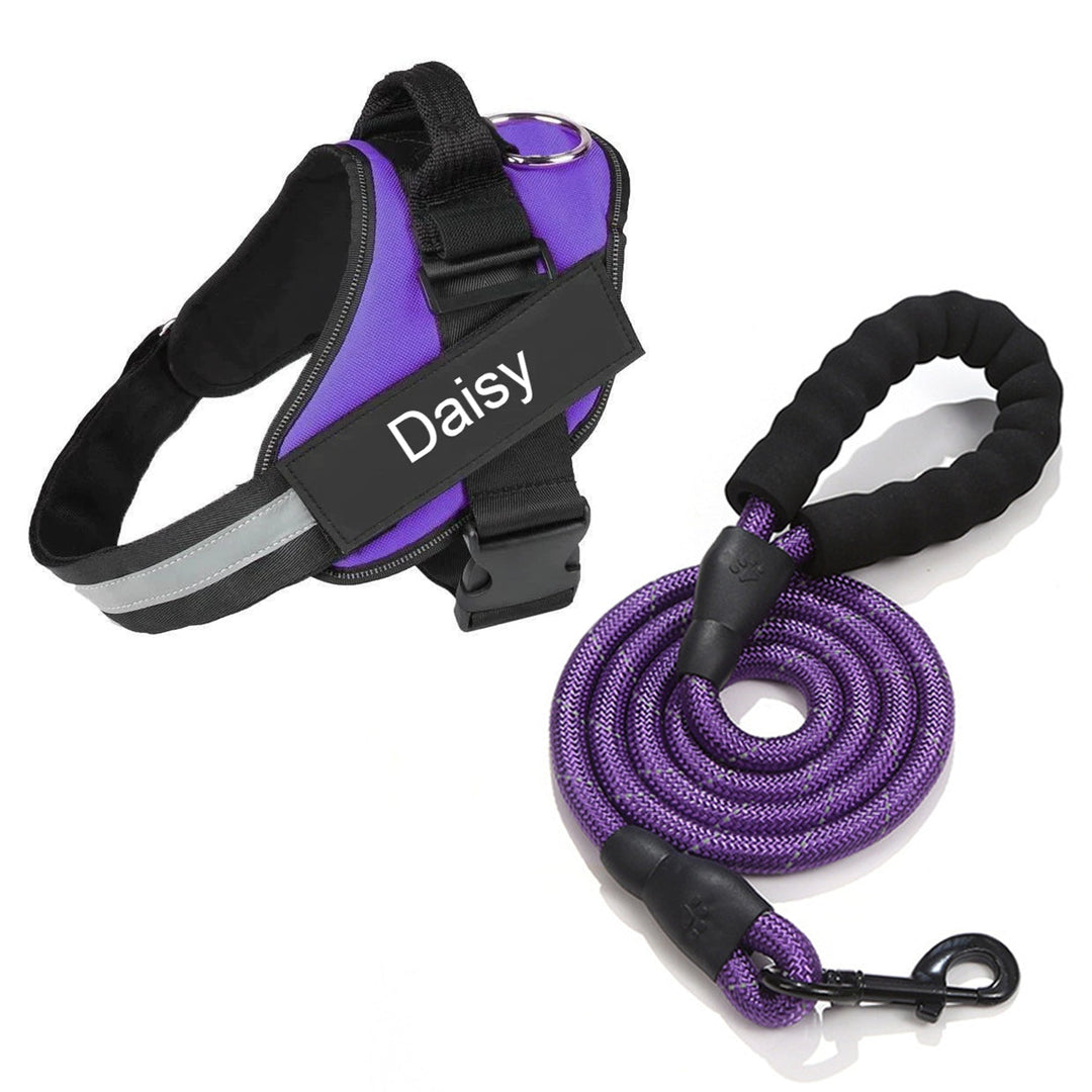 Lisslune | Personalized No Pull Dog Harness with Adjustable Fit