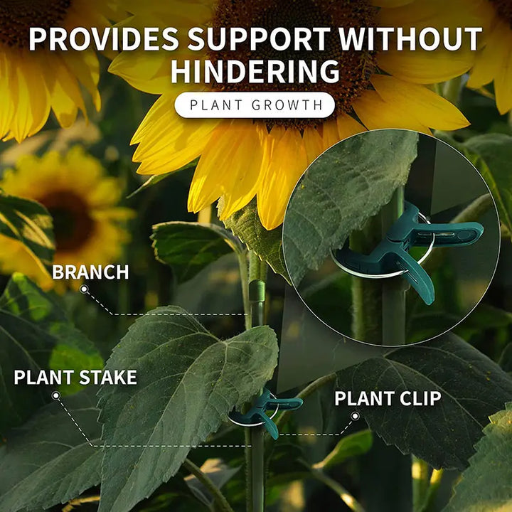 Lisslune | Garden clip set – plant loops for plant supports and garden care