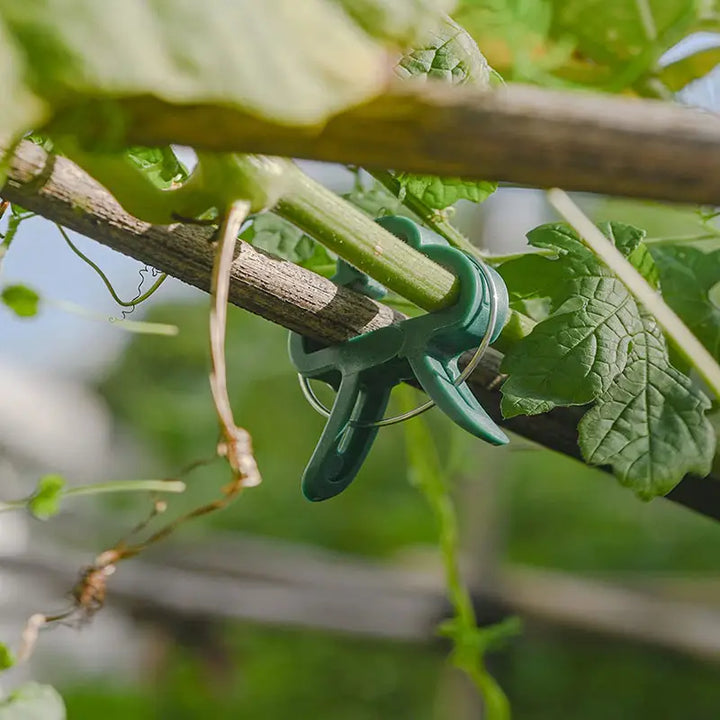 Lisslune | Garden clip set – plant loops for plant supports and garden care